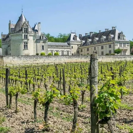 3 Etoiles - Piscine - Ccaiica Saumur